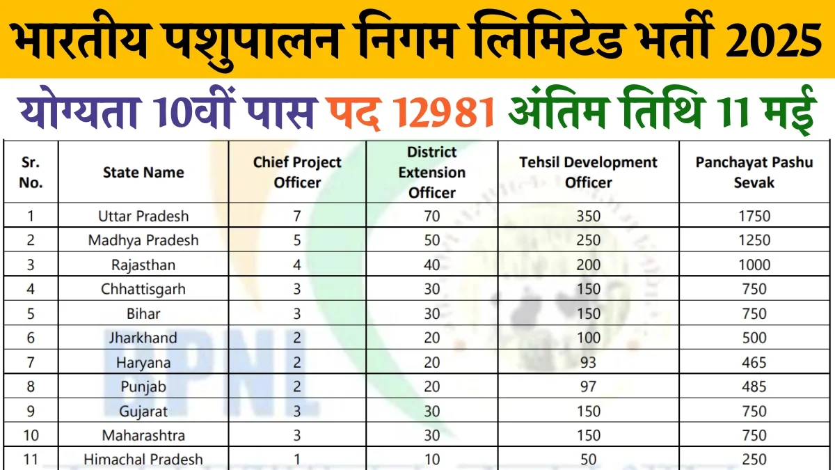 BPNL Recruitment 2025 Notification 12981 Posts For 10th Pass, Eligibility, Application Last Date